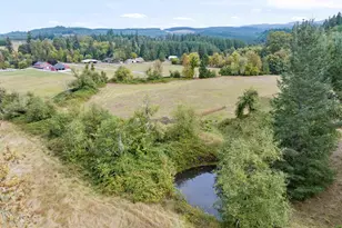42174 Fish Hatchery Dr, Scio, OR 97374 - Photo 41