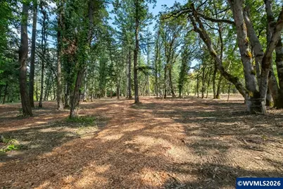 Lot 1101 &amp; 1102 Valley View Dr NW, Albany, OR 97321 - Photo 9