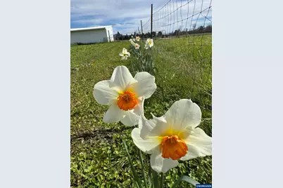 0 Undisclosed Hwy, Brownsville, OR 97327 - Photo 21