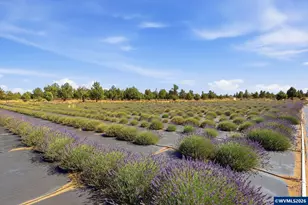 23525 Bear Creek Rd, Bend, OR 97701 - Photo 19