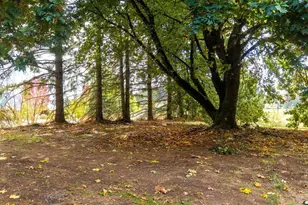 34255 Powell Hills Rd, Shedd, OR 97377 - Photo 7