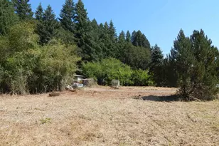 23347 Alsea Hwy, Philomath, OR 97370 - Photo 7