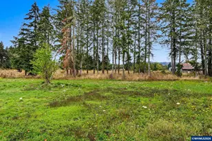 3193 Jefferson Marion Rd SE, Jefferson, OR 97352 - Photo 45