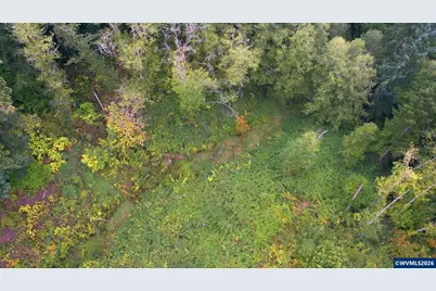 Smith Rd St Helen Rd, Saint Helens, OR 97051 - Photo 13