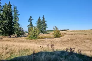 1060 Silver Falls Dr NE, Silverton, OR 97381 - Photo 19