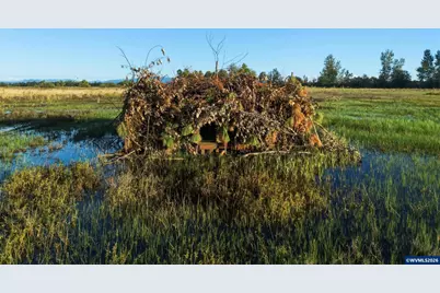 Duckflat (Tax Lot:092W160001200) Rd, Turner, OR 97392 - Photo 11