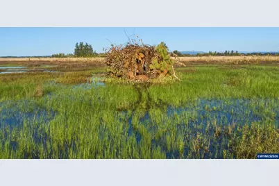 Duckflat (Tax Lot:092W160001200) Rd, Turner, OR 97392 - Photo 3