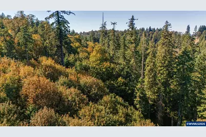 0 SE Lafayette Hwy, Dayton, OR 97114 - Photo 11