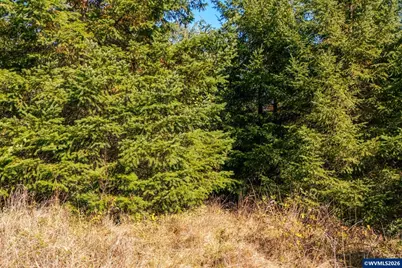 0 SE Lafayette Hwy, Dayton, OR 97114 - Photo 33