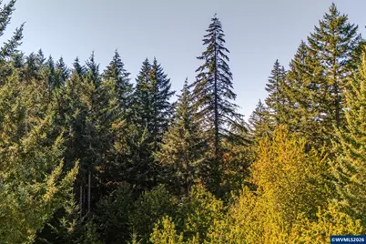 0 SE Lafayette Hwy, Dayton, OR 97114 - Photo 13