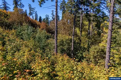 0 SE Lafayette Hwy, Dayton, OR 97114 - Photo 9