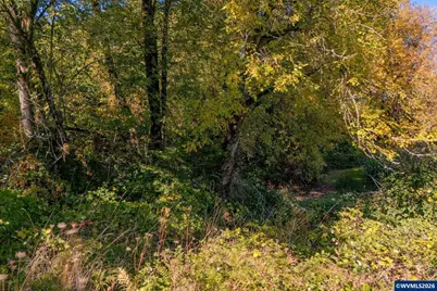 0 SE Lafayette Hwy, Dayton, OR 97114 - Photo 7