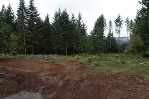 25005 Springer Rd, Sweet Home, OR 97386 - Photo 1