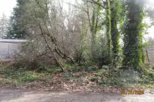 Tl 500 54th (Off Of) Av, Sweet Home, OR 97386 - Photo 1