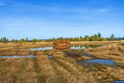 Duckflat (Tax Lot:092W210000900) Rd, Turner, OR 97392 - Photo 25