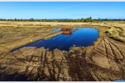 Duckflat (Tax Lot:092W210000900) Rd, Turner, OR 97392 - Photo 17