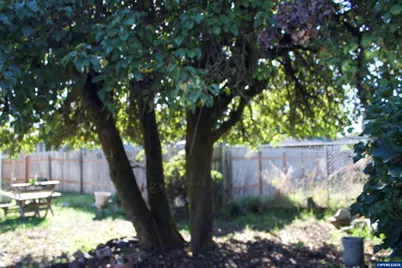 1201 Dearborn Av NE, Keizer, OR 97303 - Photo 7