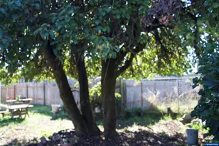 1201 Dearborn Ave NE, Keizer, OR 97303 - Photo 7
