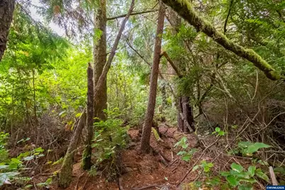 Ne Washington St, Yachats, OR 97498 - Photo 21