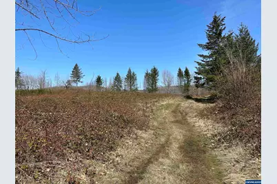 Thistledown Estates (Lot #16) Ln, Gates, OR 97346 - Photo 1