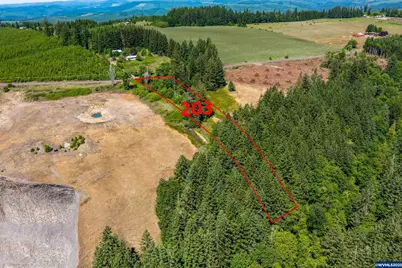 Marks Ridge (Lot #203) Dr, Sweet Home, OR 97355 - Photo 1