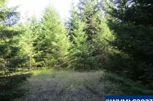 000 NW High Heaven (Large) Rd, McMinnville, OR 97128 - Photo 1