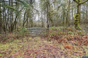 Pineway (Lot #2200) Rd, Lebanon, OR 97355 - Photo 1