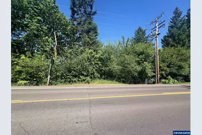 Wheatland (Parcel 063W23Ac00800) Dr, Keizer, OR 97303 - Photo 1