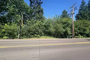 Wheatland (Parcel 063W23Ac00800) Dr, Keizer, OR 97303 - Photo 1