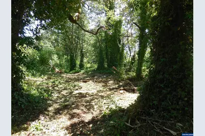 Tax Id#0011235 NW High St, Mill City, OR 97360 - Photo 1