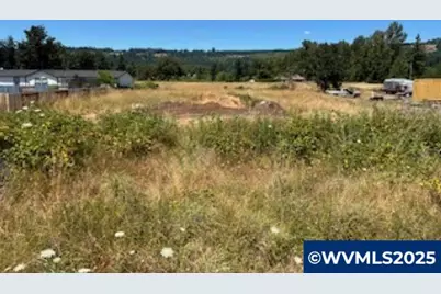 Next To 3722 Green River Rd, Sweet Home, OR 97386 - Photo 1