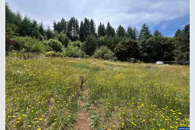 28908 Lake Lyons Rd, Alsea, OR 97432 - Photo 1
