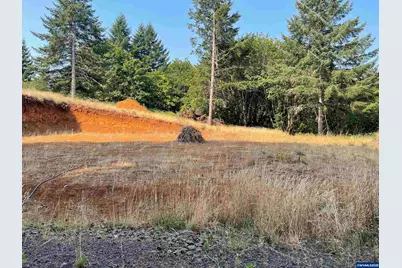 25560 SW Valley View Ln, Sheridan, OR 97378 - Photo 1