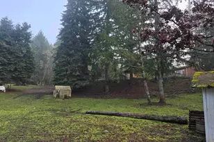 40065 Crawfordsville Dr, Sweet Home, OR 97386 - Photo 1