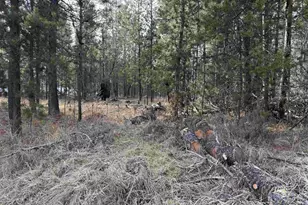 Lot 16 Willow St, La Pine, OR 97739 - Photo 1