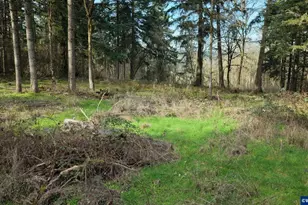 Lot 1614 Shady Oak Rd NE, Albany, OR 97322 - Photo 1