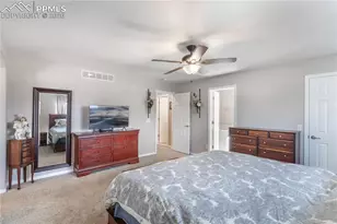 14154 Tern Dr, Colorado Springs, CO 80921 - Photo 17