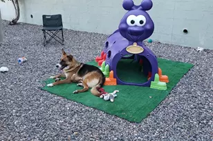 1461 E Cherry St, Cottonwood, AZ 86326 - Photo 13