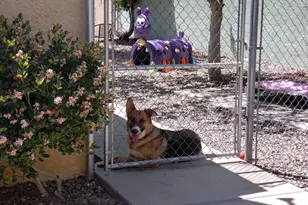 1461 E Cherry St, Cottonwood, AZ 86326 - Photo 11