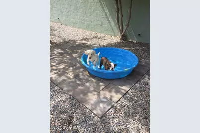 1461 E Cherry Street, Cottonwood, AZ 86326 - Photo 9