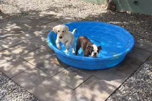 1461 E Cherry St, Cottonwood, AZ 86326 - Photo 9