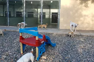 1461 E Cherry St, Cottonwood, AZ 86326 - Photo 7