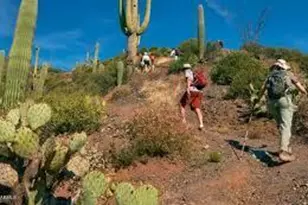 10080 E Mountainview Lake Dr, Scottsdale, AZ 85258 - Photo 23