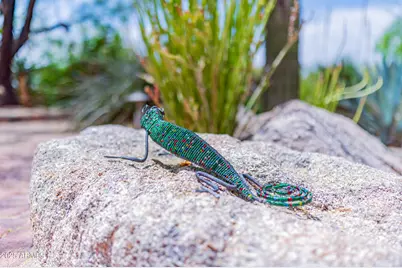 8193 E Sand Flower Drive, Scottsdale, AZ 85266 - Photo 83