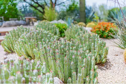 8193 E Sand Flower Drive, Scottsdale, AZ 85266 - Photo 99
