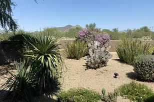 7872 E Thorntree Dr, Scottsdale, AZ 85266 - Photo 51