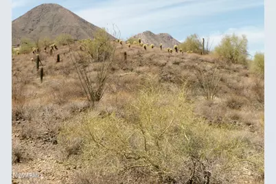 15736 N Mountain Parkway #225, Fountain Hills, AZ 85268 - Photo 5