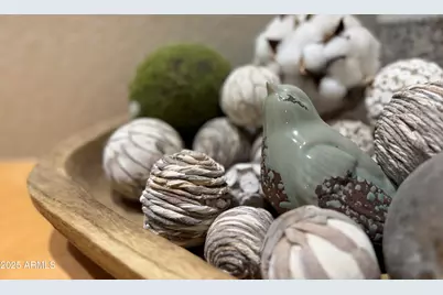 2968 E Agritopia Loop N, Gilbert, AZ 85296 - Photo 53