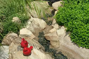 10100 N 78th Pl, Scottsdale, AZ 85258 - Photo 11