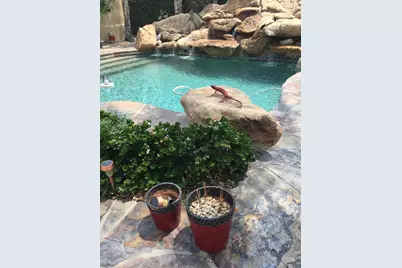 10100 N 78th Place, Scottsdale, AZ 85258 - Photo 29